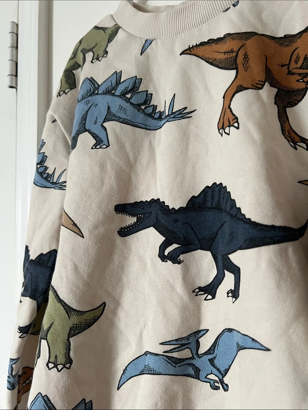 H&M Kids Dinosaur Print Sweatshirt 6X/7 Crewneck Pullover